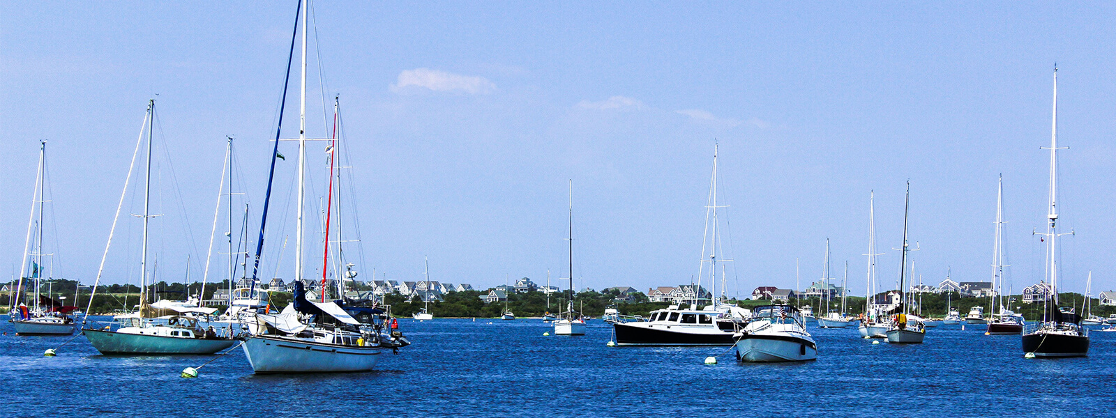 Investment Banking Healthcare & Life Science New Harbor Venture